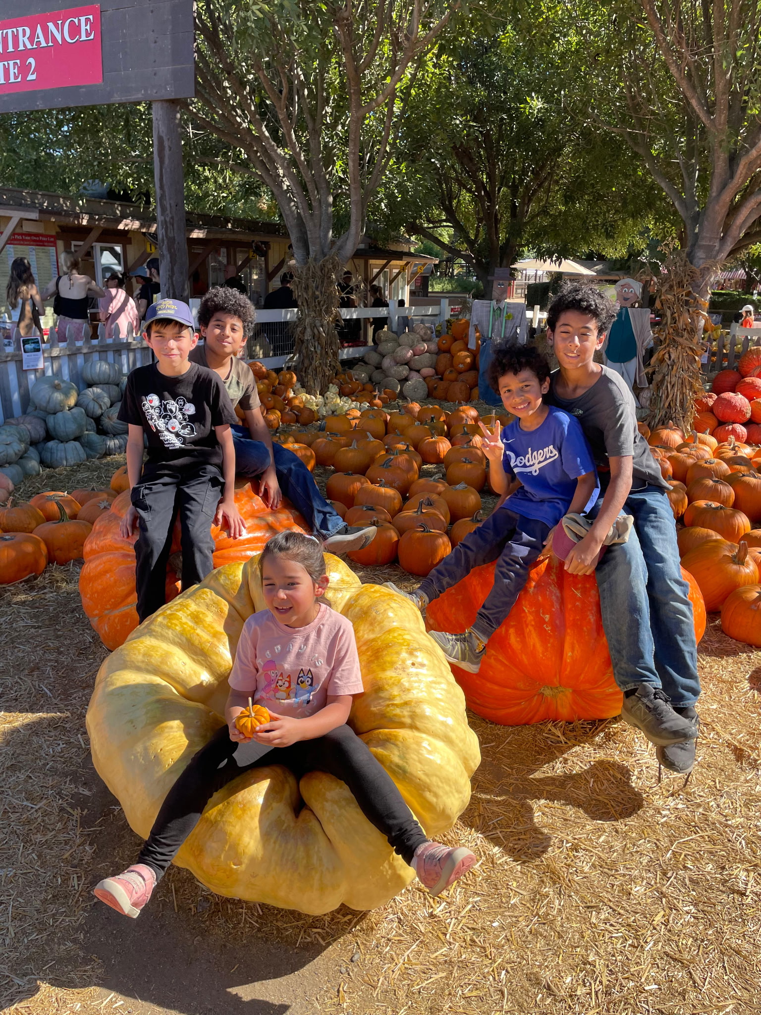 Arrows Christian Academy students at a pumpkin patch field trip